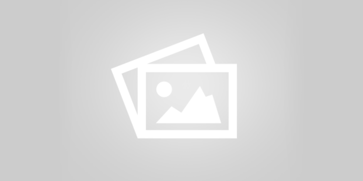 I hugged an elephant !